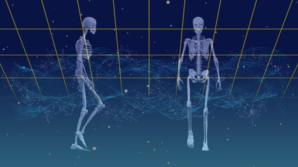 Wall Mural - animation of skeletons over blue digital space