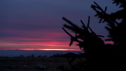 Sticker - A scenic view of the sky with varying shades of orange pink and purple hues as seen from a high point and a tree in the foreground its silhouette in view