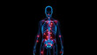 © Chad - Autoimmune disease in the body glow in the dark background.