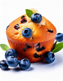 blueberry muffin on a white background 