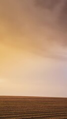 Wall Mural - Aerial View Of Sunset Bright Sky Above Summer Hay Field Landscape In Evening. Drone Hyper lapse.