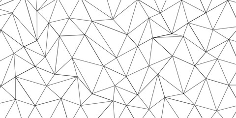 Abstract line background. abstract black lines with white background creative and geometric shape with white luxury pattern and paper texture and geometric shape with white luxury style.	