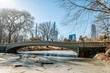 © Vadim - Winter in central park. Visitors enjoy the serene beauty of Central Park on a clear winter day, with a frozen lake and iconic skyline in view.