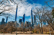 Winter skyline over Central Park. Bare trees in Central Park frame skyscrapers against a clear blue sky, highlighting winter's beauty in New York.