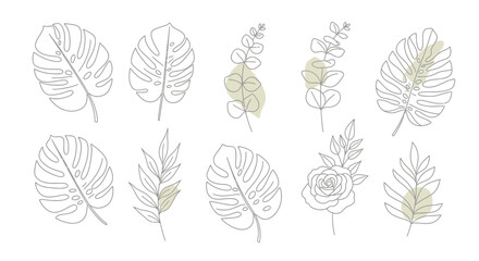 Naklejka na meble Set of minimalist botanical line art illustrations with monstera, eucalyptus, and rose elements on a white background