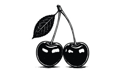 Wall Mural - detailed black and white sketch of two cherries with leaf. vector retro hand drawn illustration