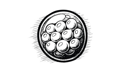 Wall Mural - sketch of a raspberry with detailed shading and textures. vector retro hand drawn illustration