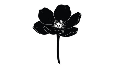 Wall Mural - silhouette of a single black flower. vector retro hand drawn illustration