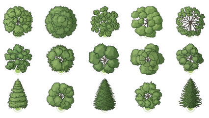 Wall Mural - Top View Green Trees Set | Botanical Elements for Outdoor Plan, Garden, and Architectural Drawing