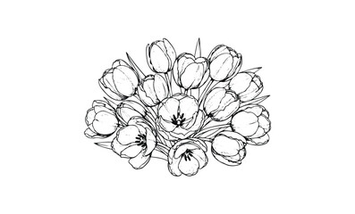 Wall Mural - intricate black and white tulip bouquet sketch with detailed petals and leaves. vector retro hand dr