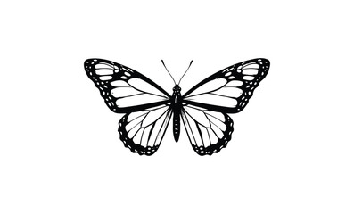 Wall Mural - monarch butterfly illustration: black and white silhouette. vector retro hand drawn illustration