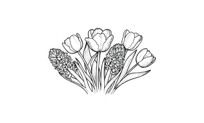 Wall Mural - hand-drawn tulips and hyacinths sketch in blooming arrangement. vector retro hand drawn illustration