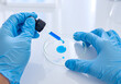 © Obsure - Scientist Handling Blue Liquid with Pipette and Test Tubes in Laboratory Experiment Process