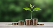 © Phat - Financial Growth Concept: Plant Growing from Coins with Green Background