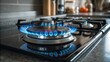 © Yellow Blossom - Close-up of Gas Stove Burner with Blue Flames, Kitchen Appliance, Cooking Energy, Gas Cooktop Gas stove, kitchen safety