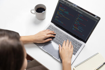 Software development programming on computer screen for brisk application and program coding