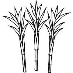 bamboo vector illustration