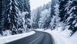 © Jangan - Winding snowy road through a frosted forest