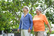 © JU.STOCKER - Joyful elderly man and woman enjoying a stroll together, Happy senior Asian couple holding hands while walking in park, Cheerful mature couple laughing during a leisurely outdoor walk