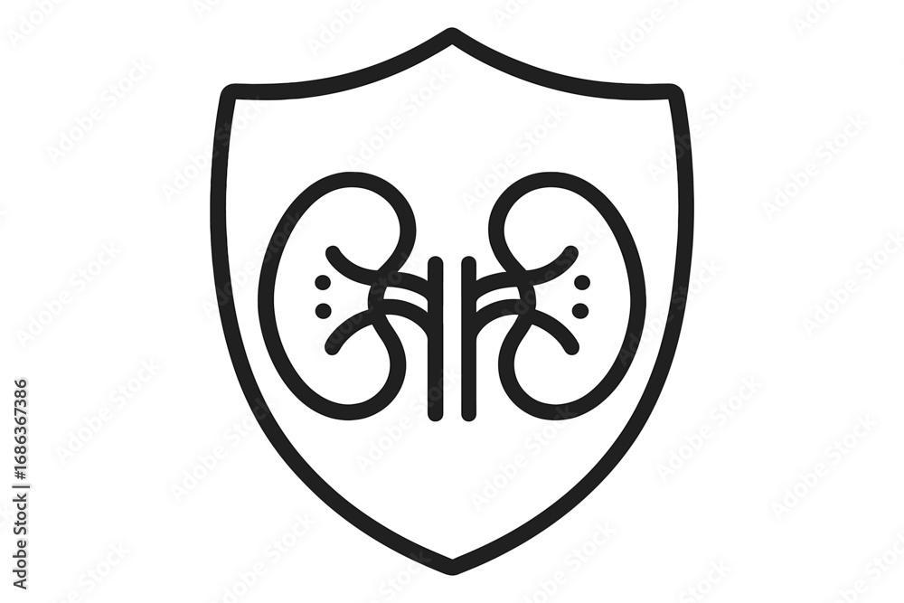 Kidney protection shield icon. Urology and nephrology concept. Health ...