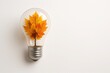 © CreativeLight - Light bulb filled with autumn leaves on white background with soft lighting and empty space for text creative concept for ideas innovation and back to school season