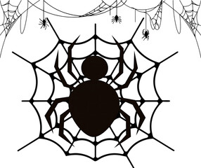 spider and web