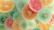 © Beautiful Korea - 부드러운 색깔로 표현한 얇게 저민 열대과일, 추상적 배경-Thinly sliced ​​tropical fruit in soft colors, abstract background