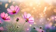 © Tama - Closeup of Blooming Pink Cosmos Flowers with Sunlight Bokeh