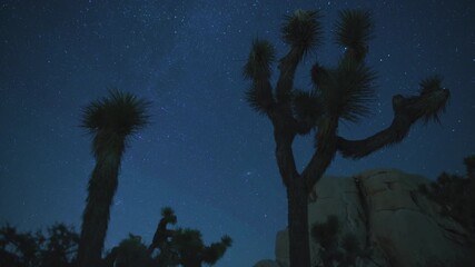 Wall Mural - Joshua Tree National Park Aurora Airglow and Milky Way Galaxy Over Hidden Valley Northeast Sky 24mm Tilt Up Astrophotography Time Lapse California USA