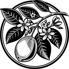 Wall Mural - lemon fruit on a branch with leaves