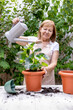 © Dulúapics - Woman watering potted plant after planting in outdoor garden