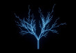 © Hammad - Digital glowing tree, blue neural network branches, futuristic data visualization art