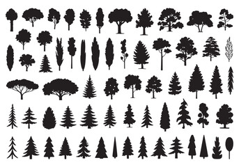 Diverse collection of tree silhouettes various species for natural landscape design and decoration white background
