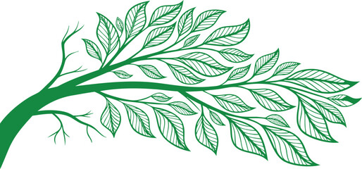 Green tree branch with leaves illustration on white background showing detailed leaf veins and a minimalist botanical style