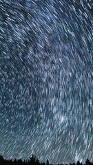 Wall Mural - Vertical Shot Star Trails of Panorama in North Sky Stargazing Astrophotography\ Time Lapse in California USA
