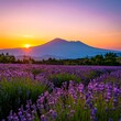 © iwak - Lush lavender field at sunrise, mountain backdrop
