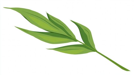 Green bamboo leaves and branches on a white background, isolated and fresh