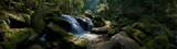Rushing waterfall cascades lush forest nature photography serene environment wide angle tranquility and beauty