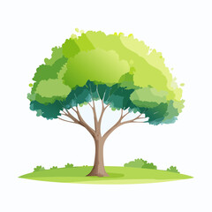 watercolor tree side view isolated on white background for landscape and architecture layout drawing, elements for environment and garden