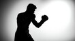 © kapten - Silhouette boxer punching