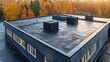 © Istamar - Flat roofing system on a modern building with autumn foliage in the background.