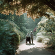 © SolaruS - Elderly couple strolling in a lush garden, one in a wheelchair, supported by the other. Evokes themes of care, companionship, aging, and resilience.