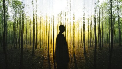 Wall Mural - A person standing in a dense forest, surrounded by trees and underbrush
