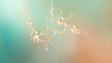 Delicate spider web with dew drops in soft focus