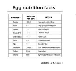 Wall Mural - Egg Nutrition Facts Calories, Protein, Vitamins & Health Benefits of Eggs