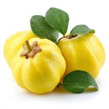 Bright yellow garcinia fruits with green leaves, showcasing freshness and natural beauty. The fruits are close-up with intricate details