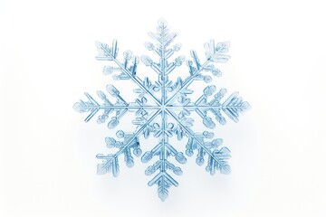 Canvas Print - snow flake snow snowflake white.