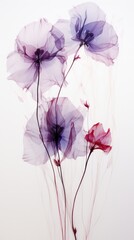 Wall Mural - Balloon Flower flower petal plant.