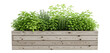 © monasa - A wooden planter box filled with a variety of fresh green herbs and leafy plants on a white background