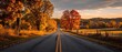 © GAN - View down long empty country road flanked by trees in full autumn color, leading to distant horizon. Sense of journey, reflection, immense natural copy space.